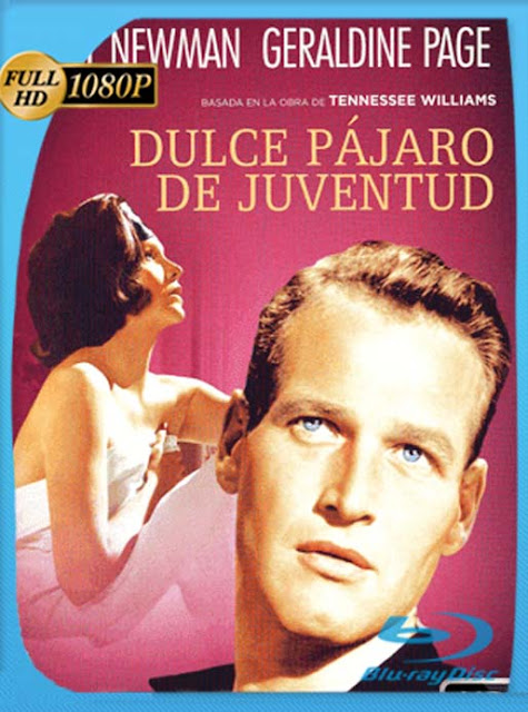 El Dulce Pajaro De La Juventud [1962] HD [1080p] Latino [GoogleDrive] SXGO