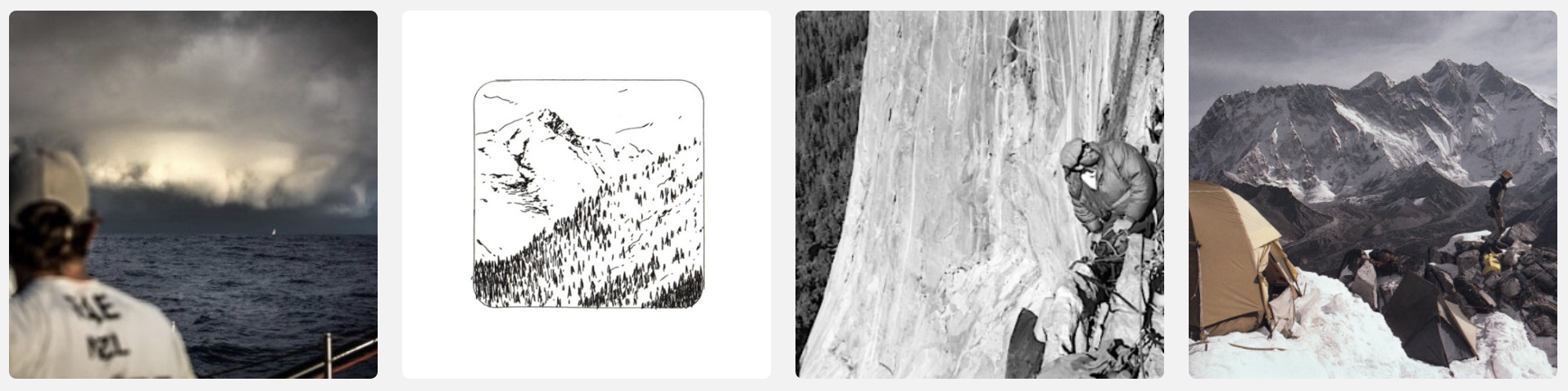 Rewild La Nature Reprend Ses Droits TRANSIT-CITY / URBAN & MOBILE THINK TANK