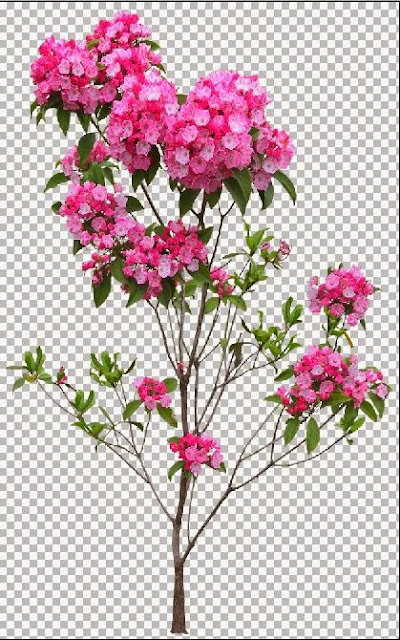flower trees photoshop