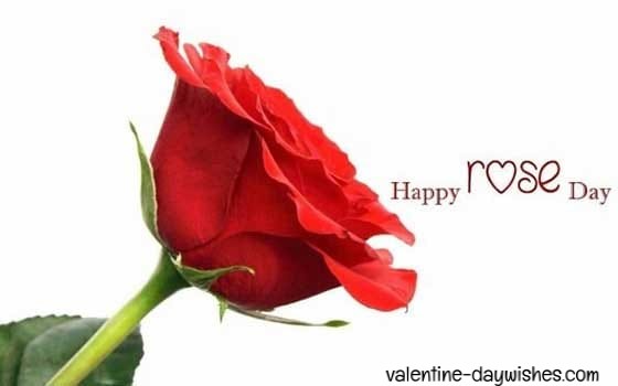 Rose day Images 2020 Rose day Images 2020