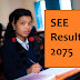 How to get SEE Result 2075 : NTC, NCELL, SMS, ONLINE, Websites