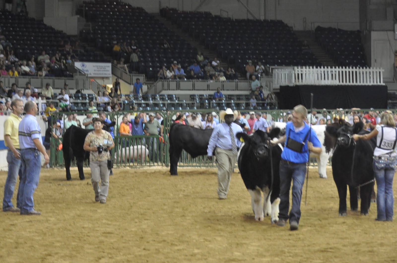 matt-lautner-cattle-tv-2011-indiana-state-fair