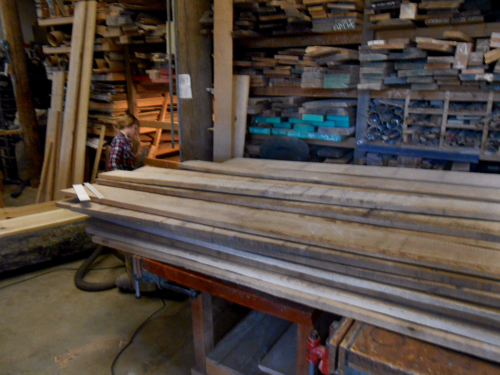 Chronicles of a Woodworking Apprentice Powderpost Beetles