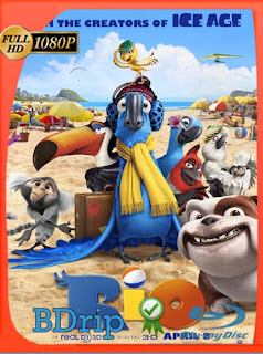 Rio (2011) BDRIP 1080p Latino [GoogleDrive] SXGO