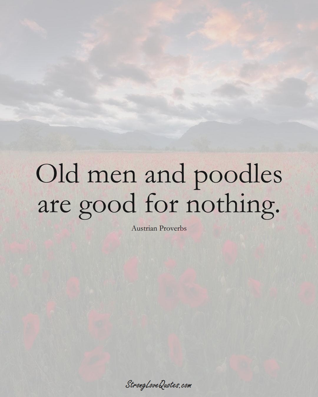 Old men and poodles are good for nothing. (Austrian Sayings);  #EuropeanSayings