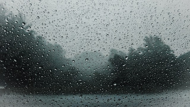 As Tempestades "As Tempestades, às vezes, chegam para levar embora tudo aquilo que estava com as Raízes Fracas."