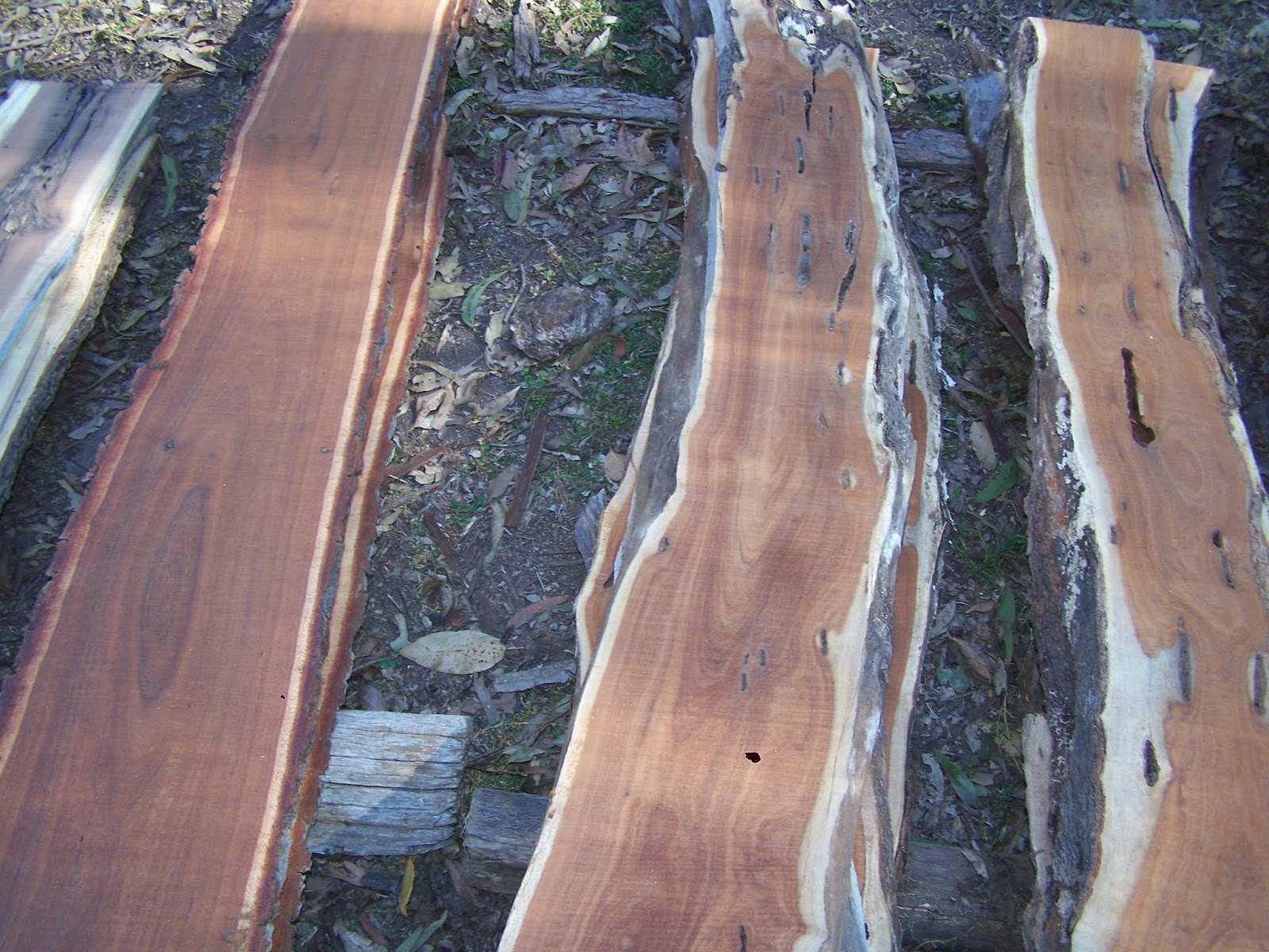 TIMBER AUCTION Lot Photos Boutique Timbers