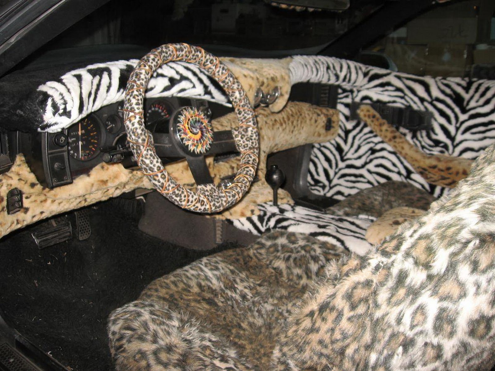camaro animal barca fontanacountryinn com camaro animal