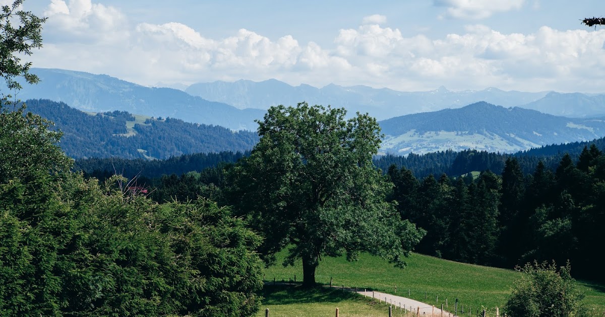 Lions Club Oberallgau 2016