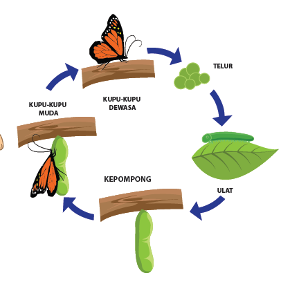 Jendela Informasi Soal Klasifikasi Makhluk Hidup