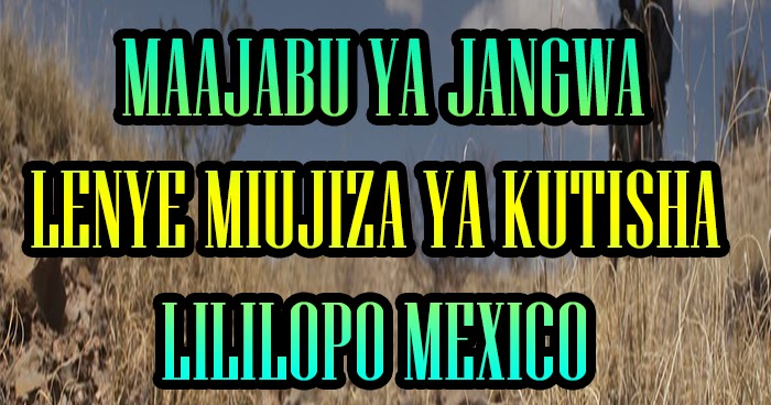 Maajabu Ya Jangwa Lenye Miujiza Ya Kutisha Lililopo Mexico
