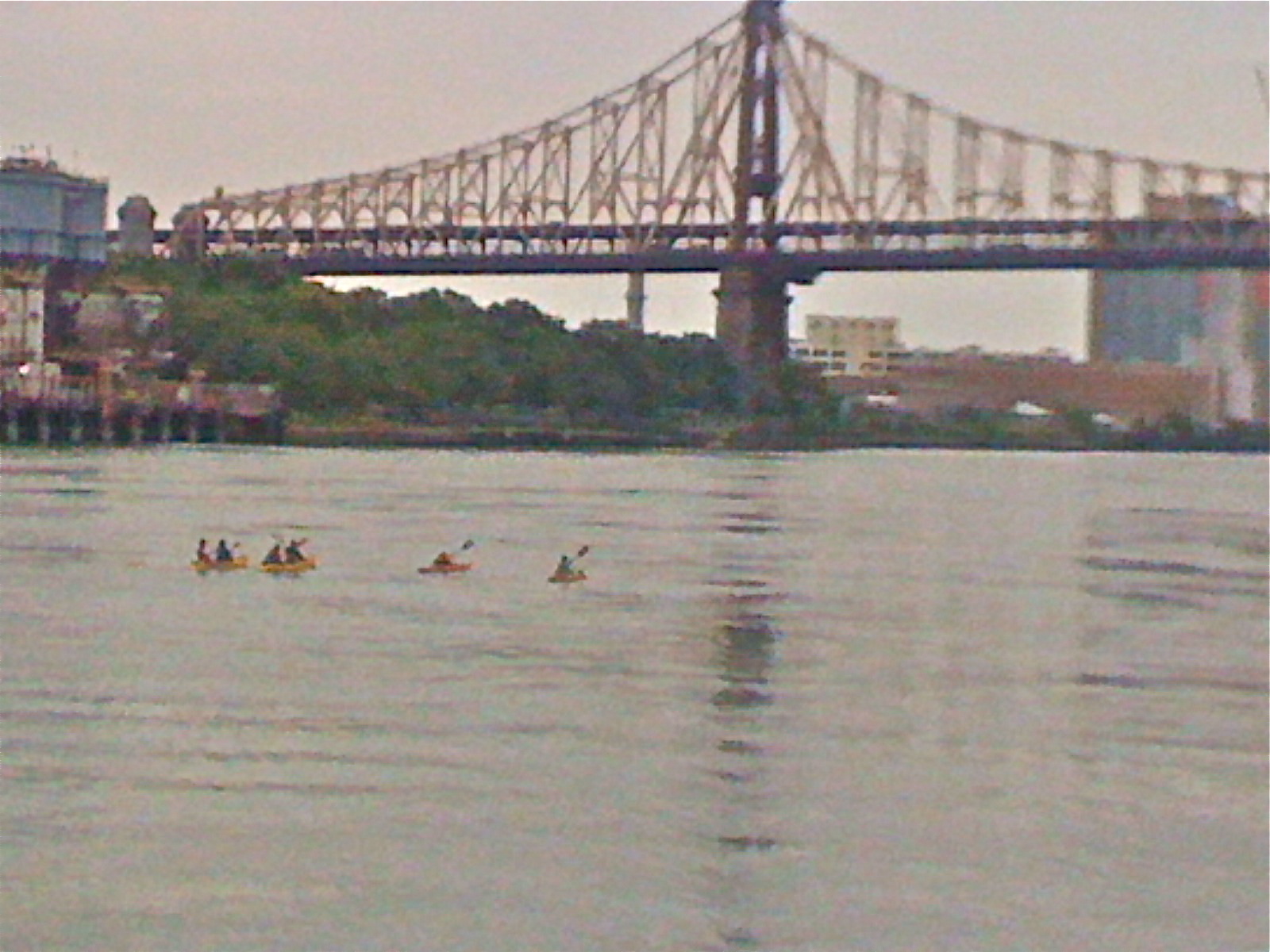 Roosevelt Islander Online East River Kayakers Passing Roosevelt Island