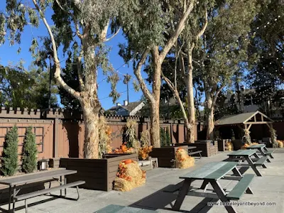 picnic tables and rest area at Winter Lodge ice skating rink in Palo Alto, California