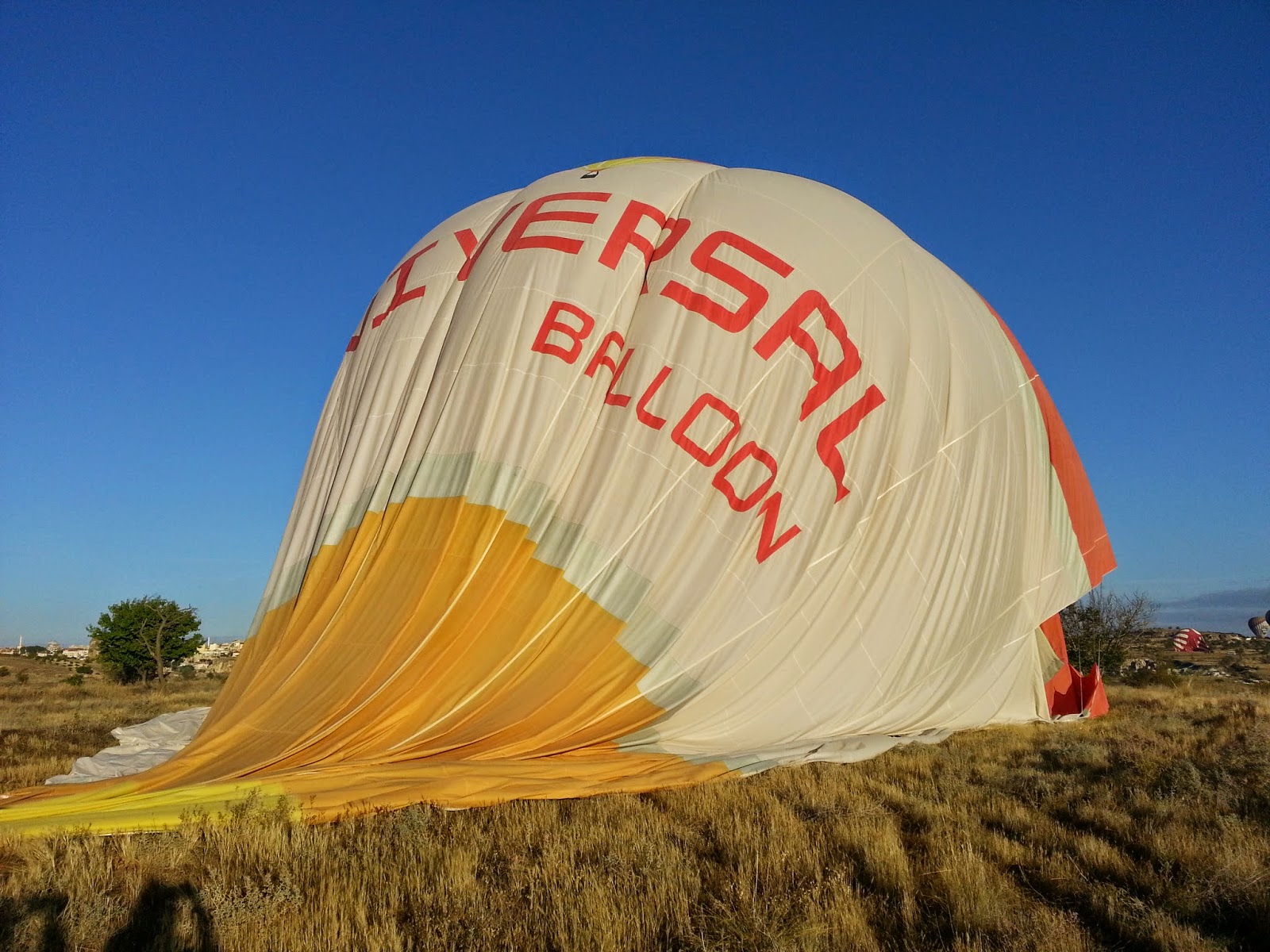 Feeling myself disintegrate Hot Air Balloon