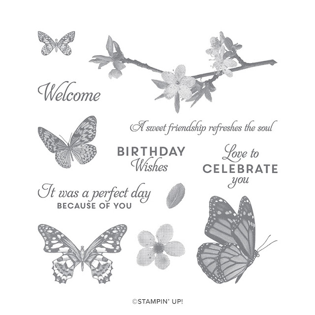 https://www2.stampinup.com/ecweb/product/149346/butterfly-wishes-cling-stamp-set?dbwsdemoid=5001803