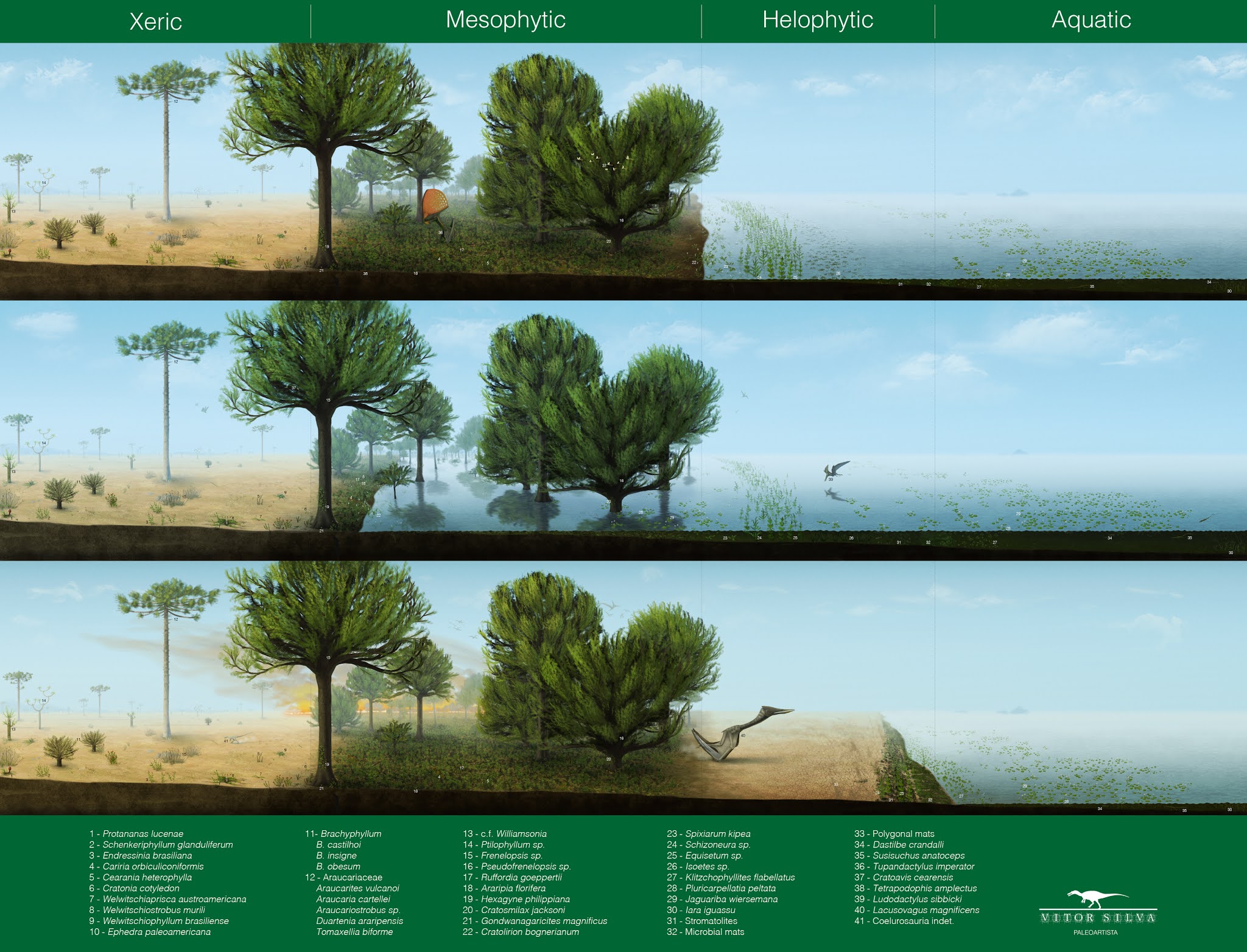 Vitor Silva Paleoartista