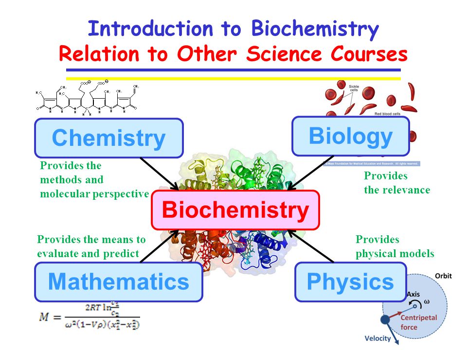research topics in medical biochemistry