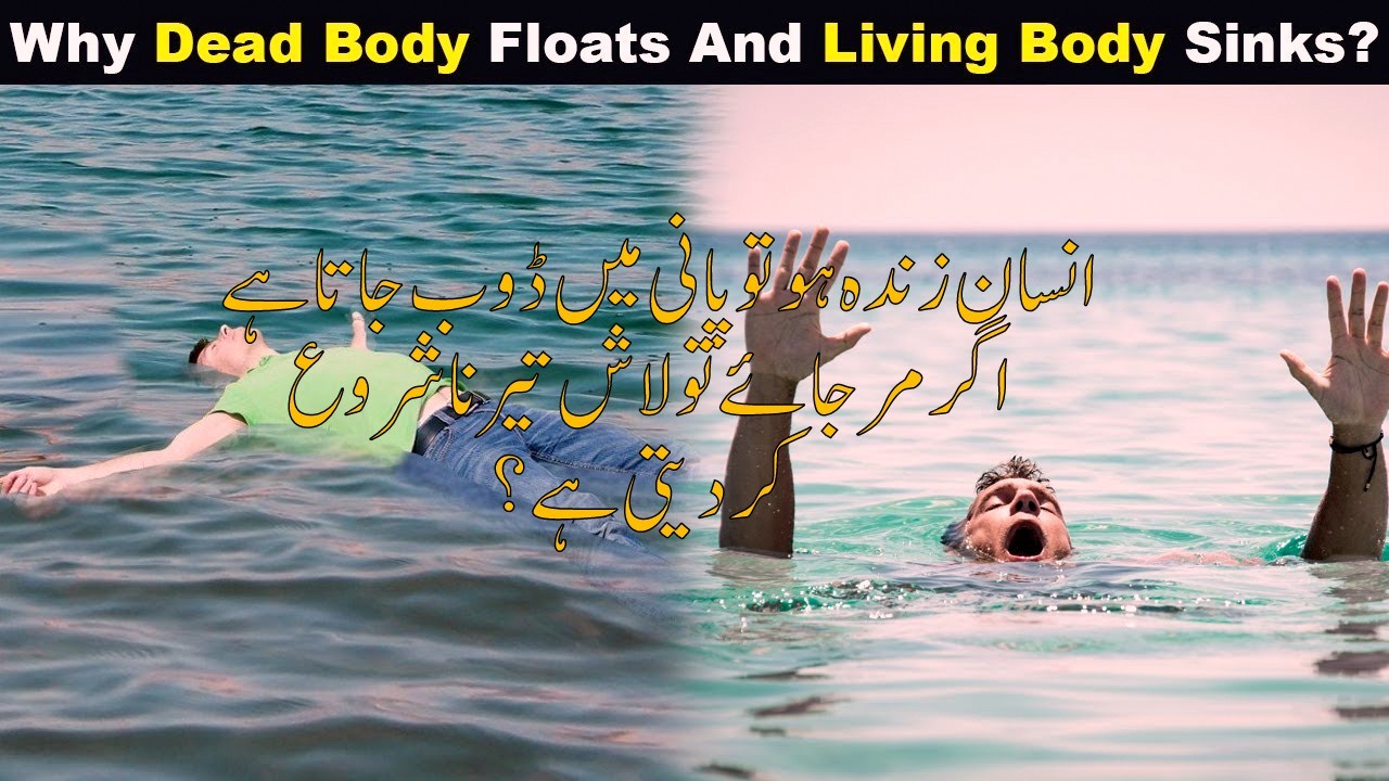 Why does a dead body float in water?