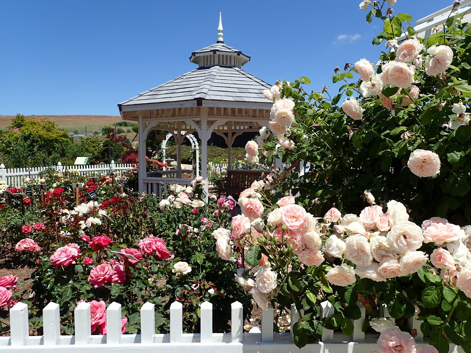 Out and about: Foothills plantings and baseball history are tour themes