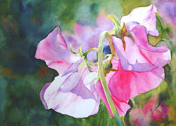 sweet watercolor pea watercolour peas painting paintings flowers floral passion florals wonderful loose start robin berry акварель ruth harris pretty