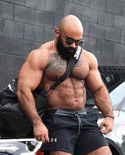 Muscular Daddy Bear