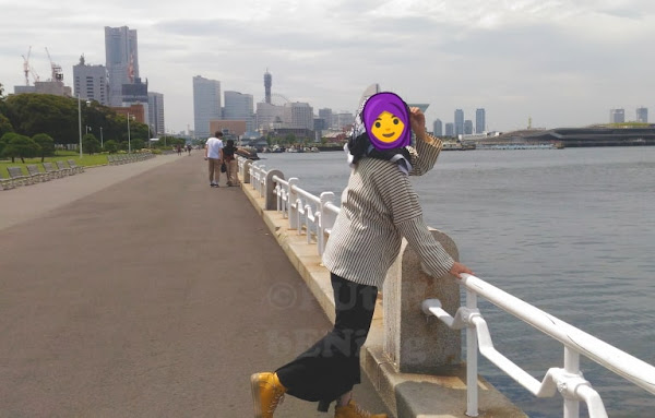 Taman Yamashita Yokohama, Penuh Mawar Di Pinggir Laut teman para penggemar bunga mawar pada khusnya dan penggemar taman pada umumnya Taman Yamashita Yokohama, Penuh Mawar Di Pinggir Laut