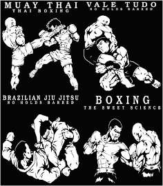 FIGHT UNIVERSE MMA