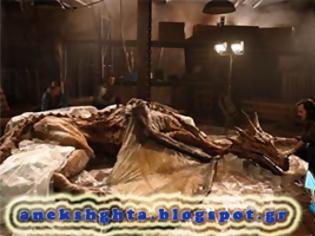 Απίστευτο: Βρέθηκε απολιθωμένος δράκος! Απίστευτο: Βρέθηκε απολιθωμένος δράκος!