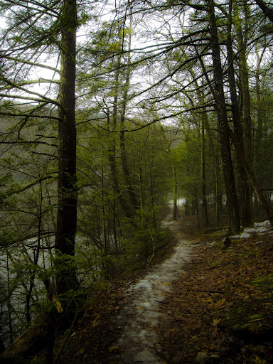 Zoar Scenic Trail, Paugussett State Forest, Newtown CT