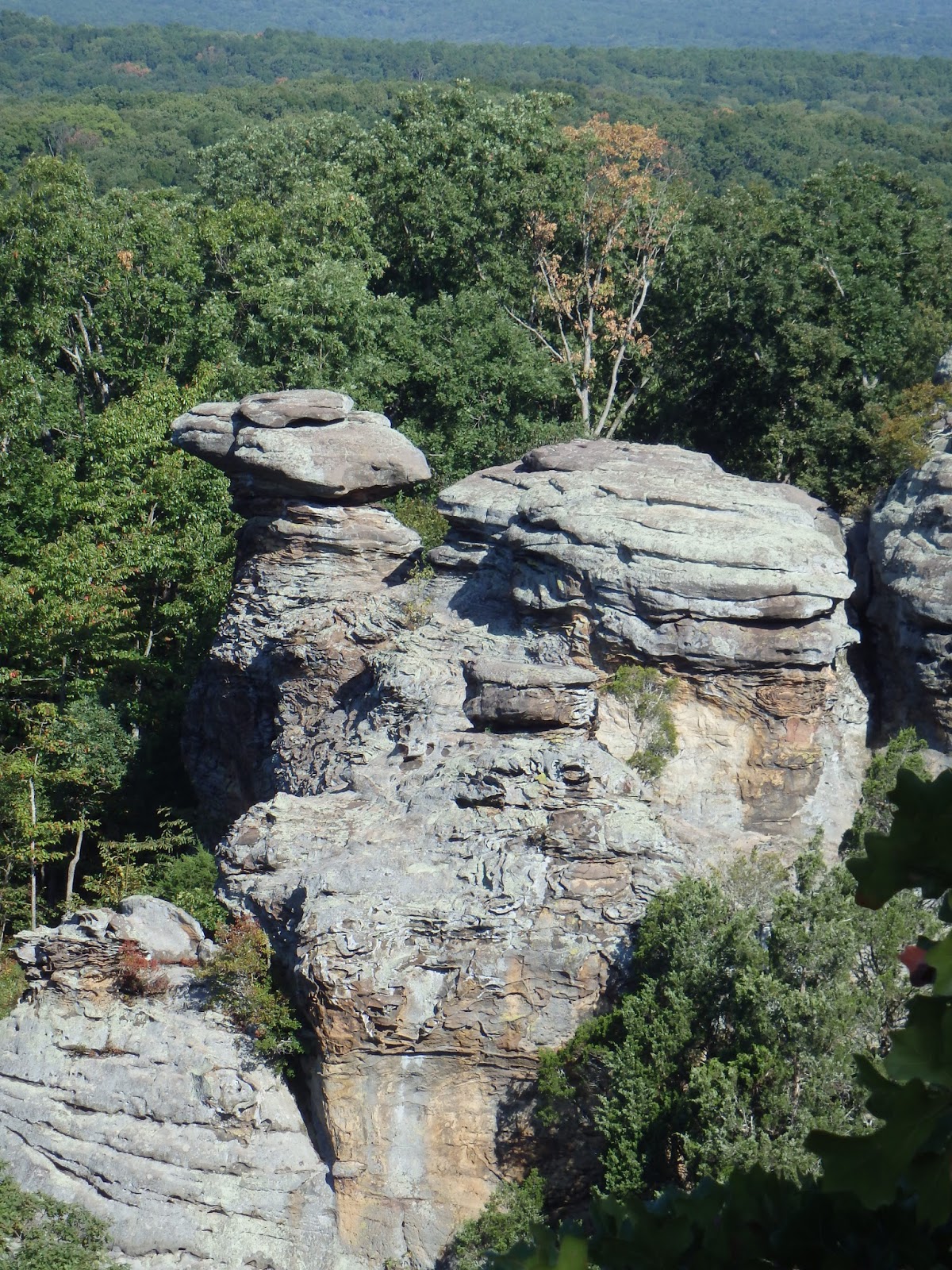 How Great The Yield From A Fertile Field September 2017