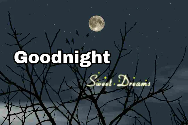 Beautiful romantic moon light Good Night Image