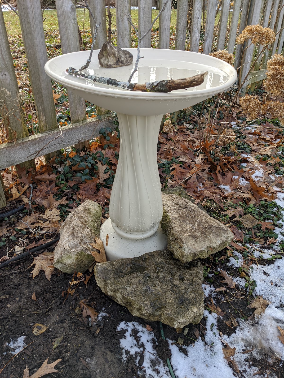 Heated Backyard Bird Bath Upgrade Winter 2019