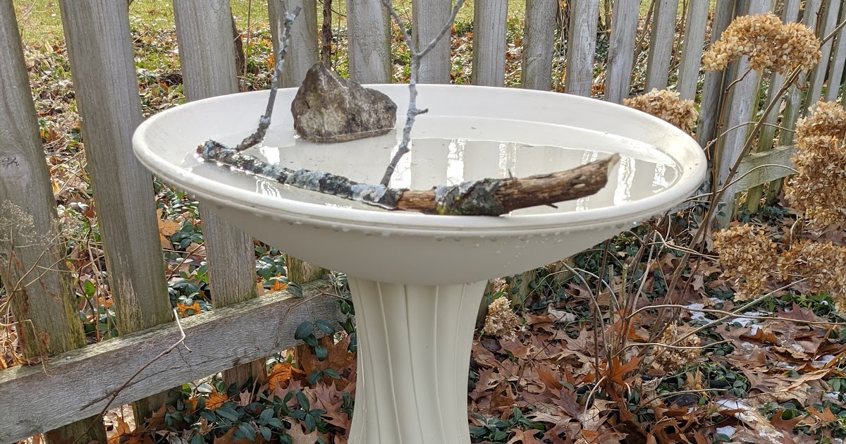 Heated Backyard Bird Bath Upgrade Winter 2019