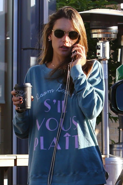 Alessandra Ambrosio Clciks at Sunlife Organics in Pacific Palisades 6