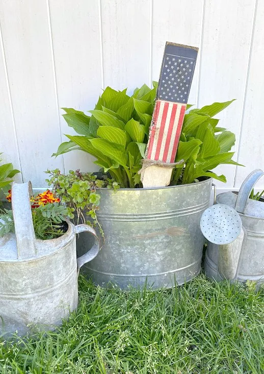 Cluster of galvanized tubs and watering cans with plants and flag stake