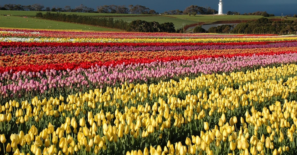 Backpacker Harvest Trail