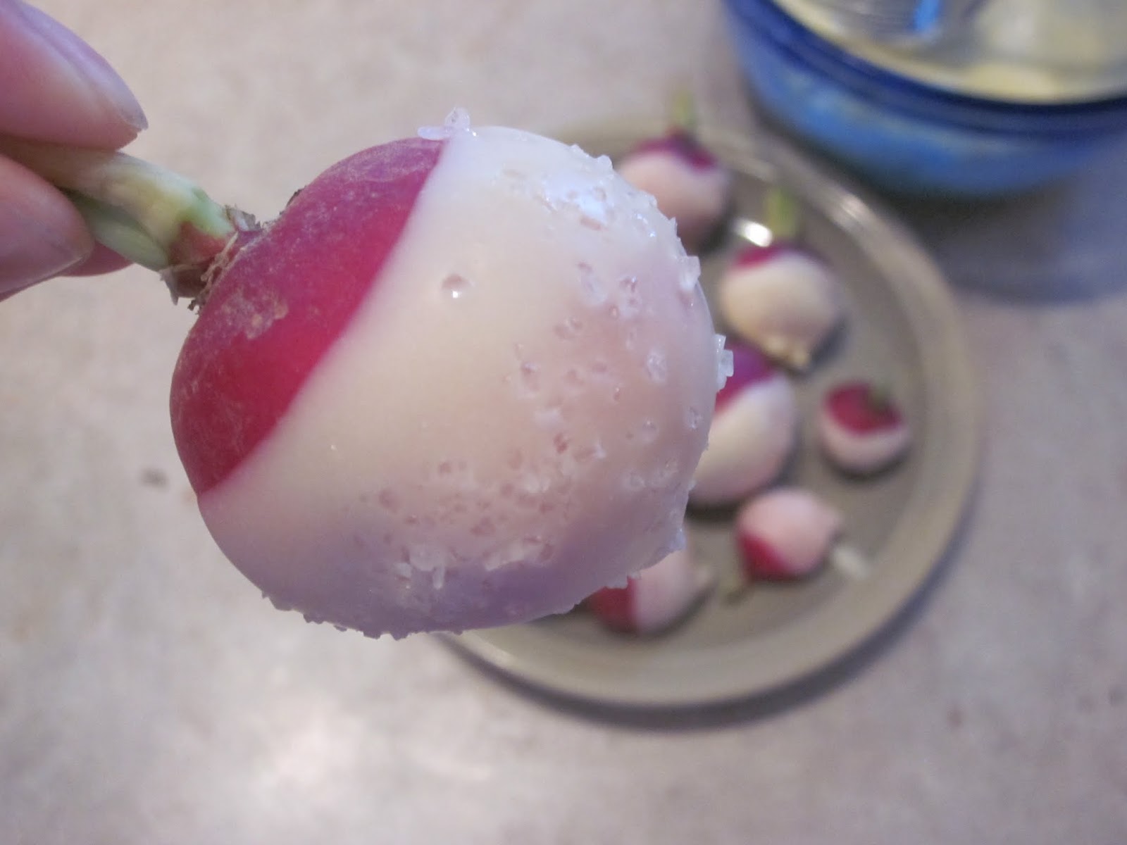 Make, Jane, make! Butter Dipped Radishes