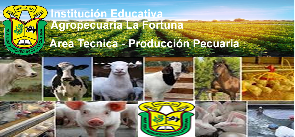 Producción Pecuaria Colegio La Fortuna