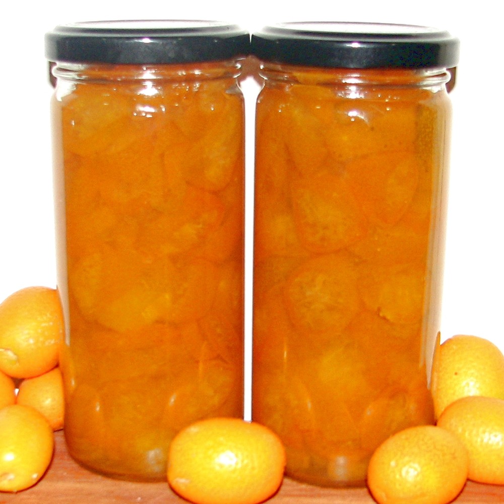 FOOD PRESERVING KUMQUAT SLICES (IN SYRUP)