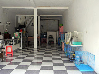 SUKMA MEONG PENITIPAN DAN GROOMING ANTAR JEMPUT JOGJA: PENITIPAN KUCING