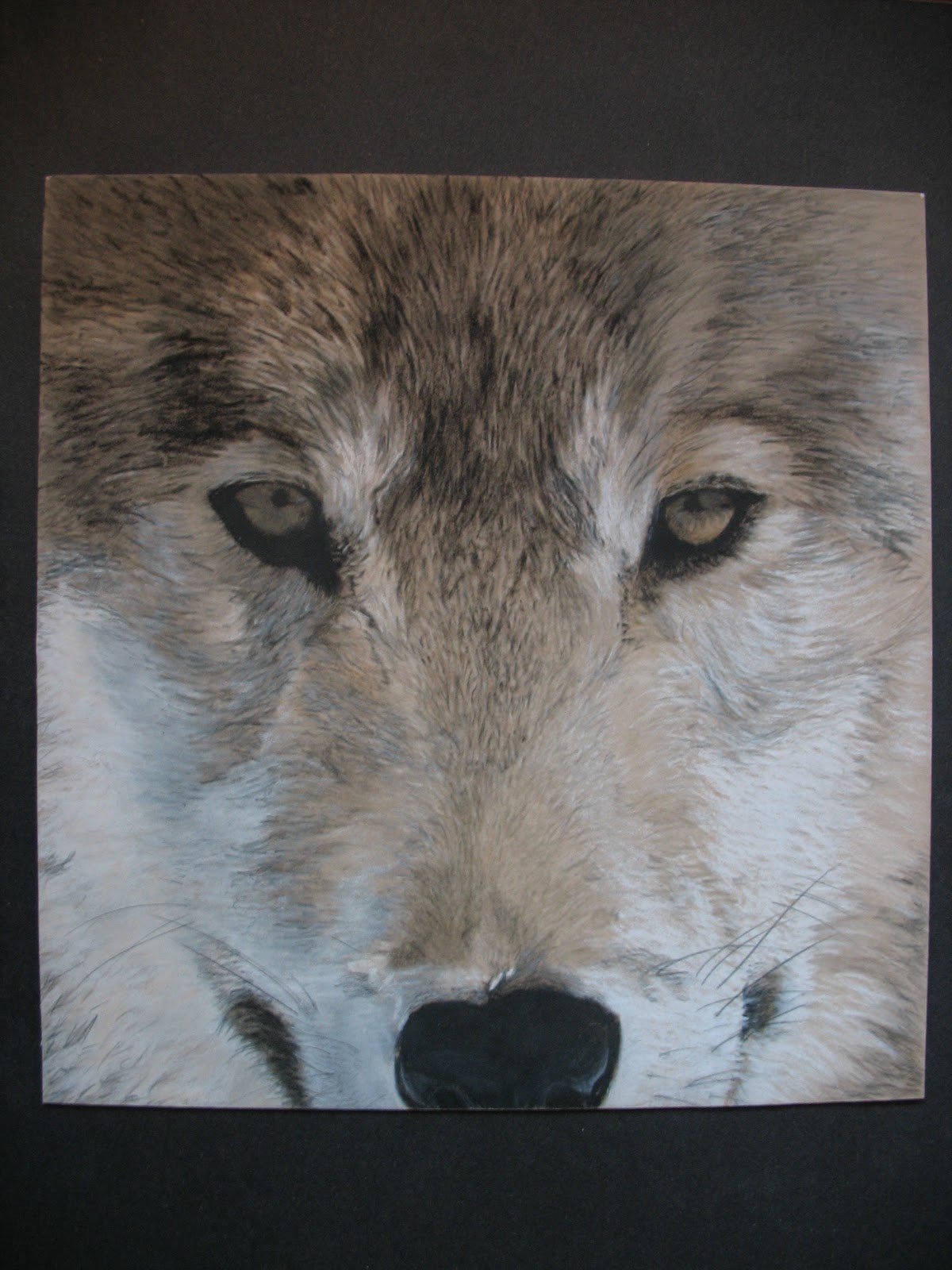 Art by Katie Nielsen: Oil Pastel on Suede Board - Wolf Face