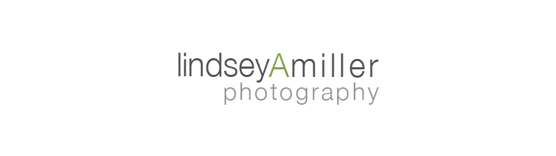 lindsey A miller photography