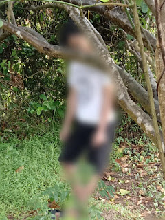 Polresta Mamuju Dalami Penyebab Pemuda Gantung Diri di Pohon