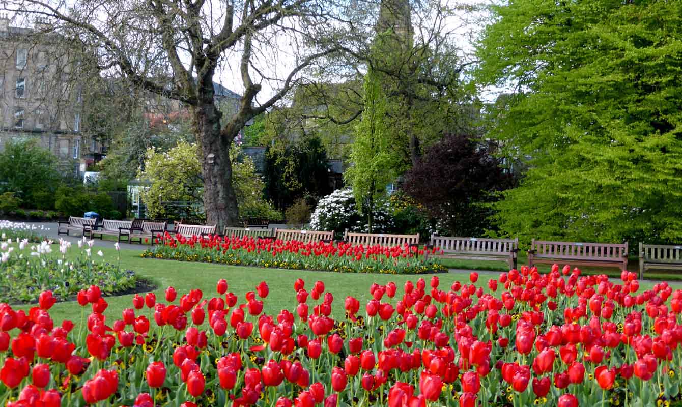 Alex and Bob`s Blue Sky Scotland Glasgow's Botanic Gardens and Spring