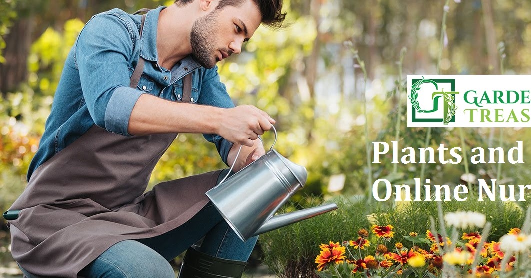 Purchase Plants from Online Nursery Australia