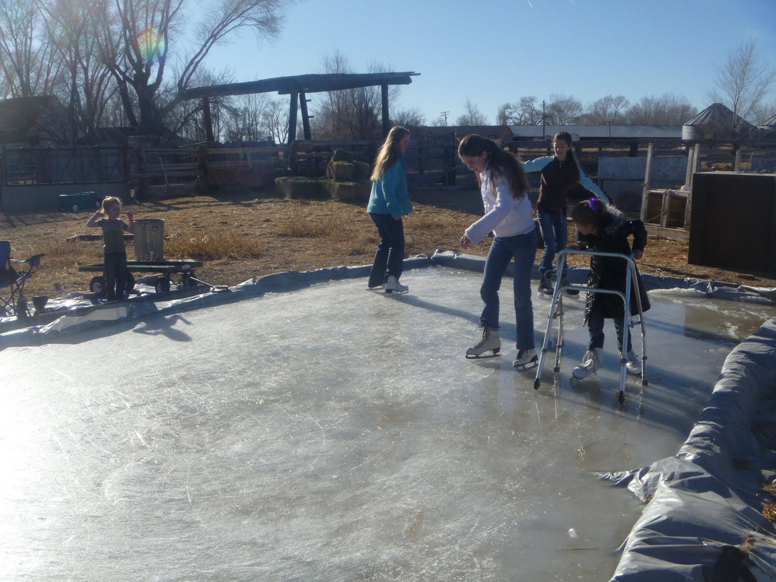 The Writing Garden My homemade ice skating Rink! & the Stomach flu