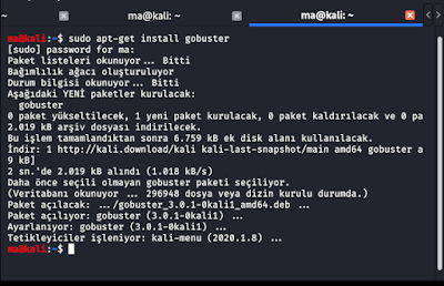 Gobuster nedir