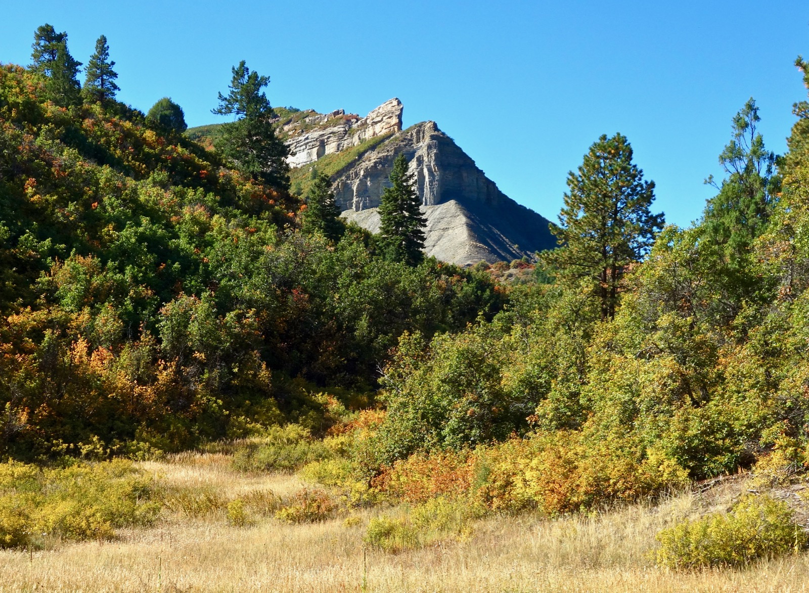Earthline The American West Dry Gulch Trail, Durango
