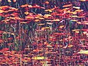 RELATO Confesiones de una Hembra Alfa | Erika Juseppe