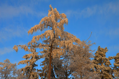 Winter, mùa đông, tél, dimër, zima, зима, 冬季, talv, talvi, Winter, mùa đông, tél, dimër, zima, зима, 冬季, talv, talvi, hiver, χειμώνας, inverno, ウィンター, ziema, žiema, iarnă, зима, vinter, zimné, invierno, zimní, kış, tél,